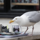 A herring gull enjoying a fine meal.